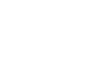 Λογότυπο Brown Sivota